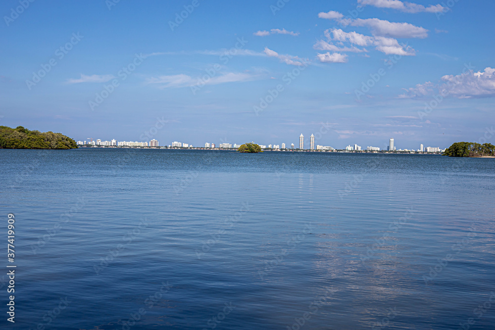 view of the city