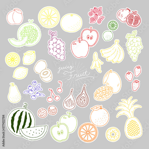 いろんなフルーツの線画手描きイラストアイコン fruit line illustration vector icon