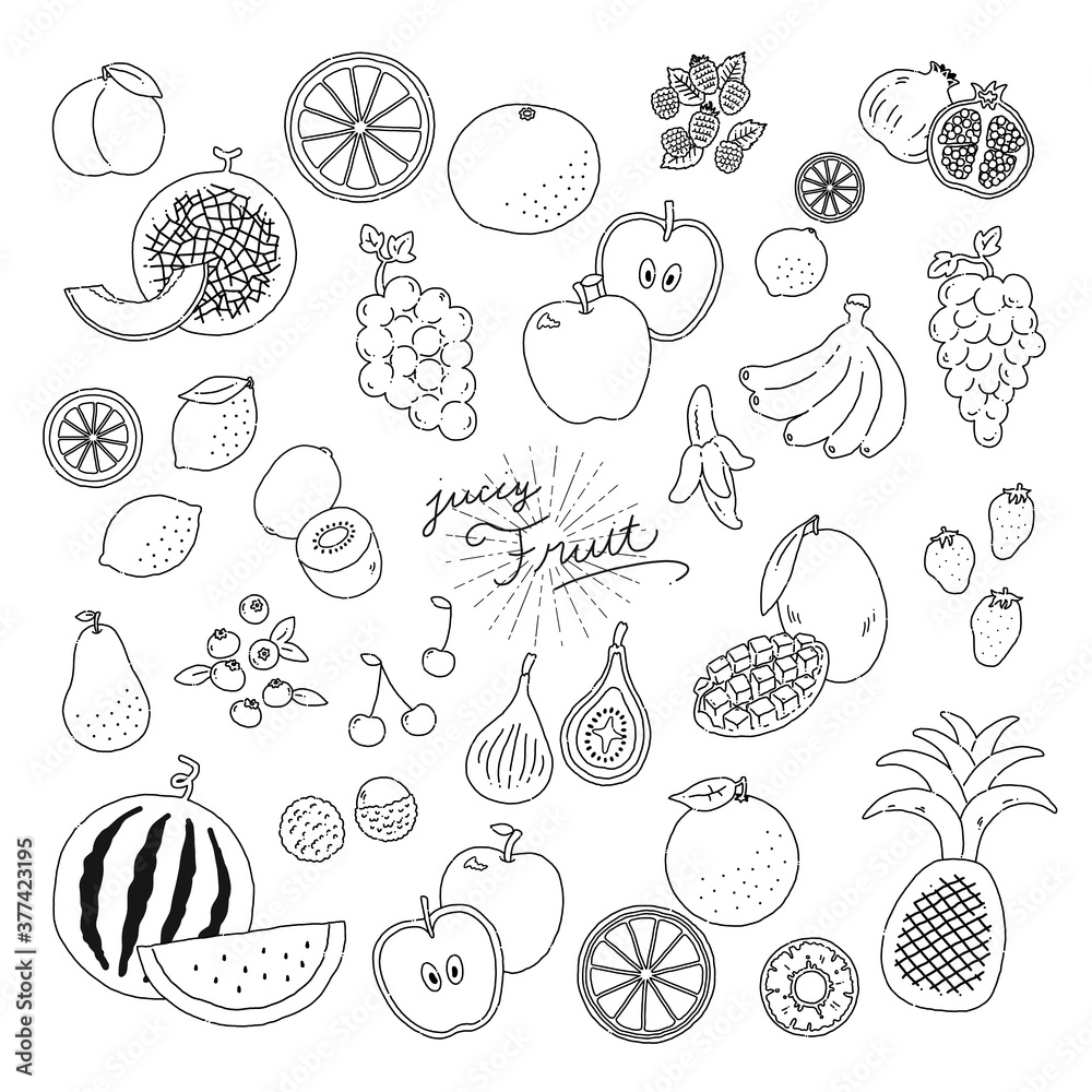 いろんなフルーツの線画手描きイラストアイコン fruit line illustration vector icon