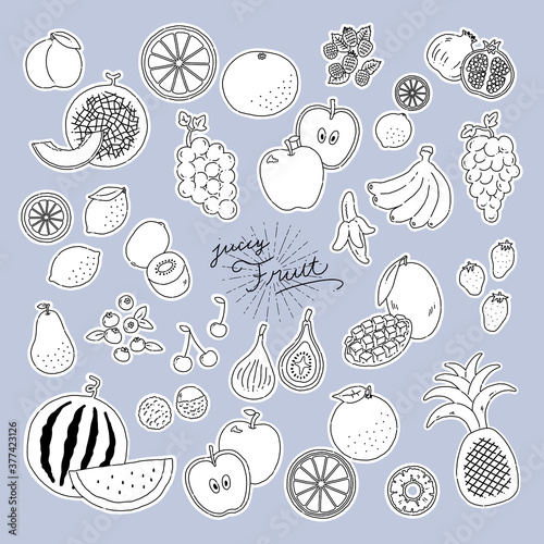 いろんなフルーツの線画手描きイラストアイコン fruit line illustration vector icon