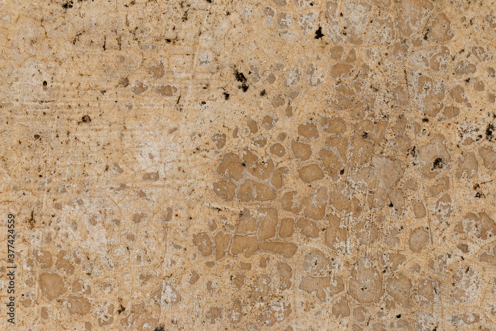 concrete texture for background. Old Stone wall background.