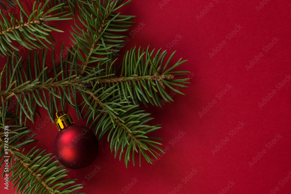 Composition with Christmas toys and fir tree on color background
