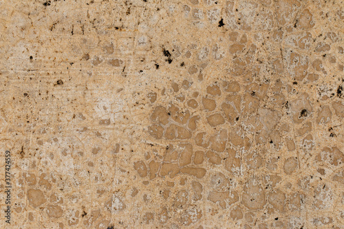 Obraz na płótnie concrete texture for background. Old Stone wall background. w salonie