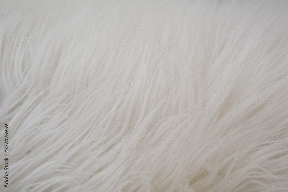White Fur Texture - Background White Fur Texture - Background