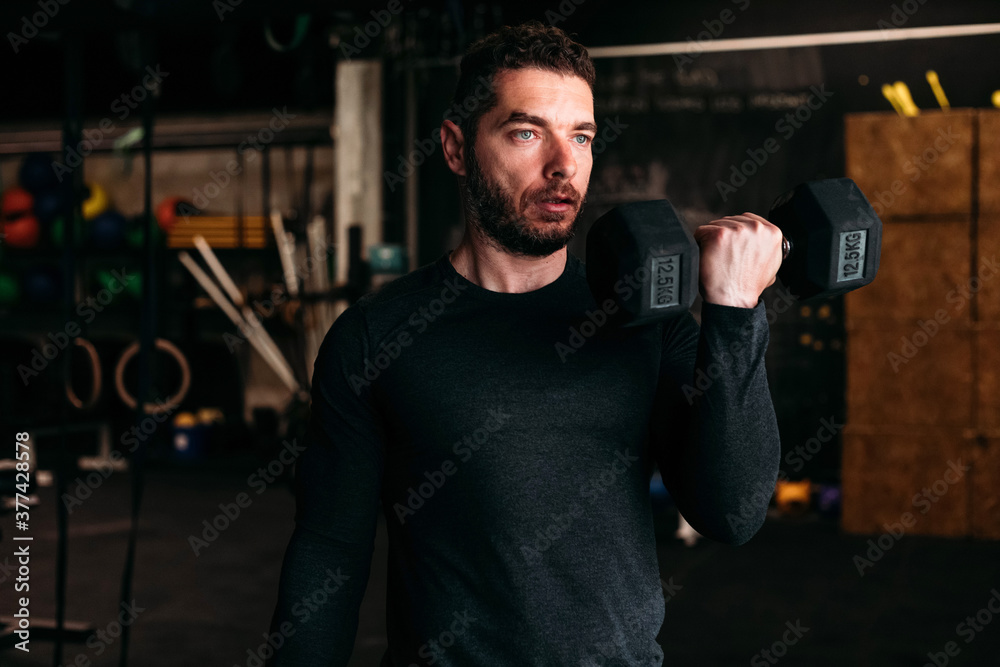 In the Gym In the Gym