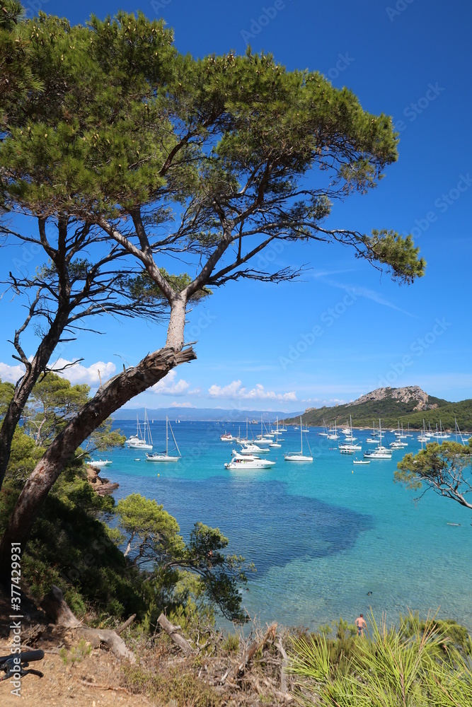 Baie et plage Notre-Dame sur l'île de Porquerolles au large de la ville d’Hyères, avec un pin sur la côte au bord de la mer Méditerranée (France) Baie et plage Notre-Dame sur l'île de Porquerolles au large de la ville d’Hyères, avec un pin sur la côte au bord de la mer Méditerranée (France)