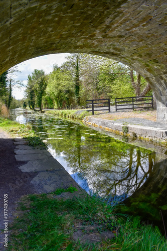 Ancient Irish Canal and Bridge