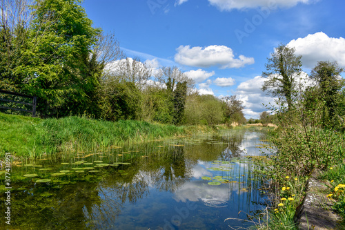 Beautiful Summers Day at Irish Canal