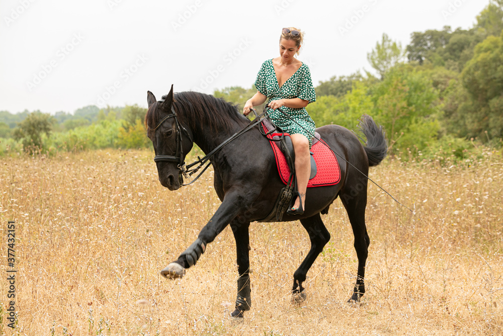 Woman in a dress with a black horse Woman in a dress with a black horse