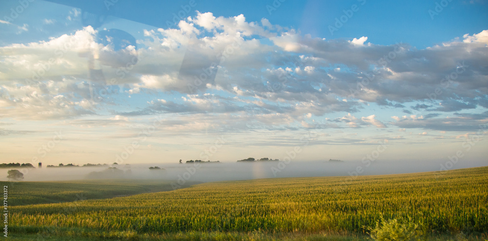 fog over the field fog over the field