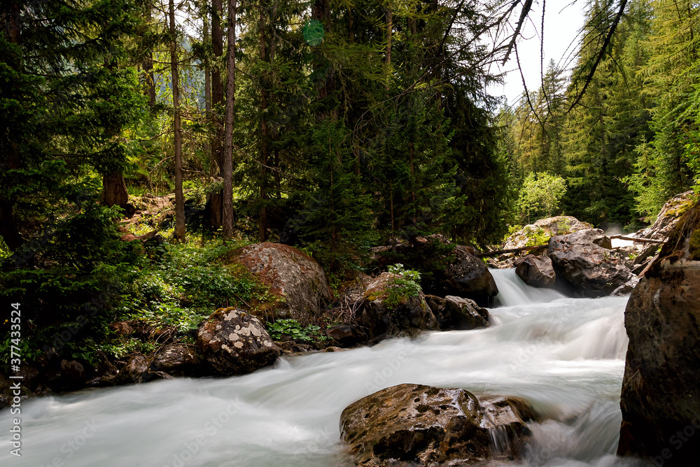 Dora Val Veny - Courmayeur - Valle d'Aosta - Italy