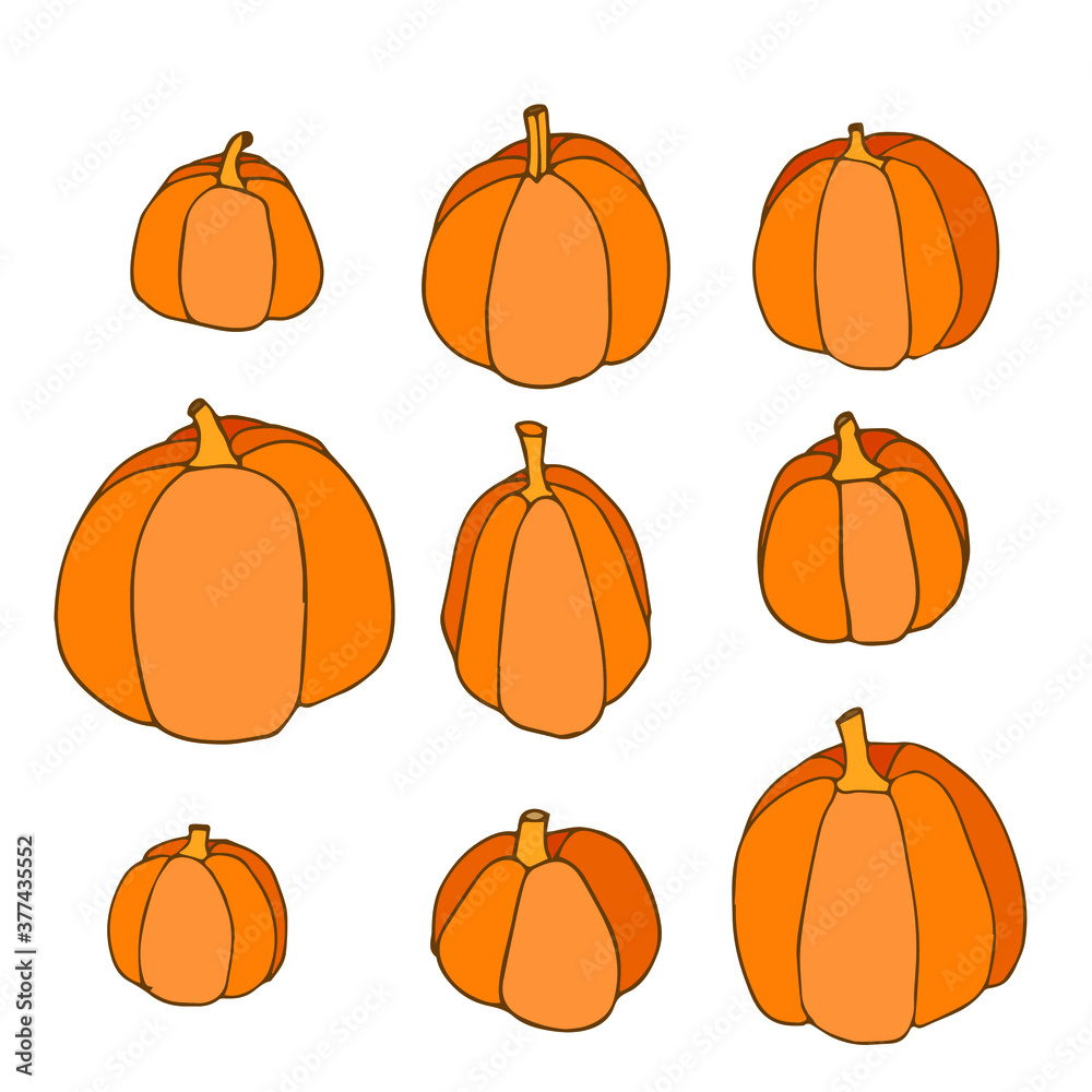 pumpkins doodle color set on the white background