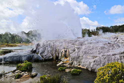 Geyser eruption in whakarewarewa geothermal area rotorua New Zealand 