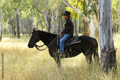 A cowboy on horse waiting under a gumtree. photo