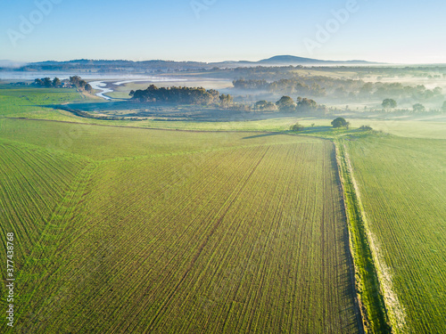 An aerial view of lingering fog over farmland and gumtrees