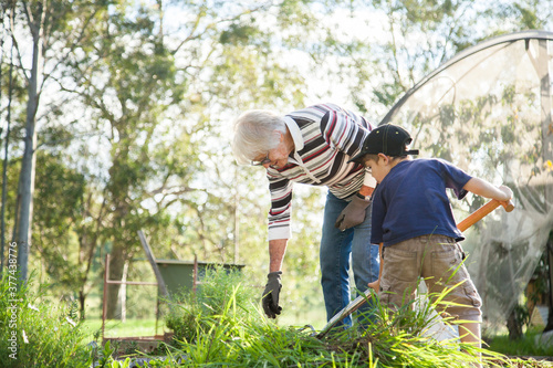 Grandson and granny weeding the vegetable garden in the backyard