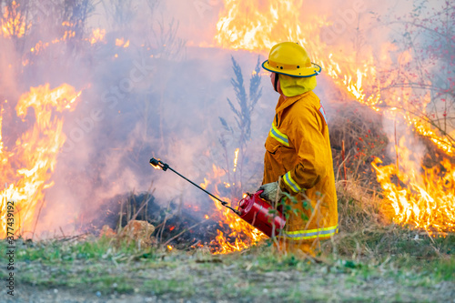 A fireman using a torch watching over a fuel reduction burn off photo