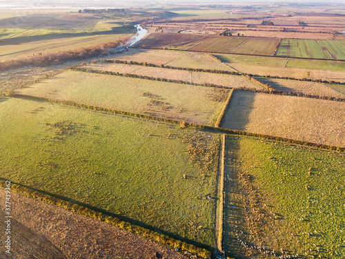 Aerial view of paddocks with sheep divided by hedgerows along side a river