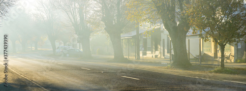 A foggy morning in the tree lined streets of a small country town