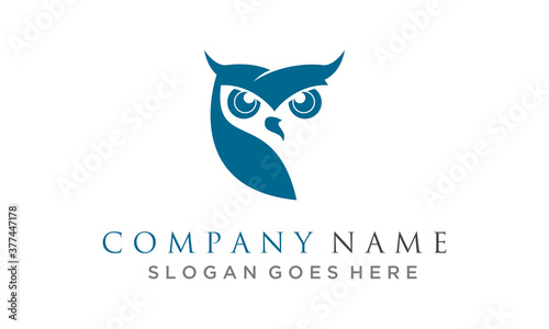 wild owl logo