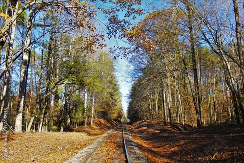 Old Railroad Tracks in Mount Ulla NC photo