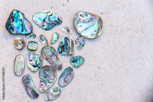 Mother of pearl and abalone shell arrangement