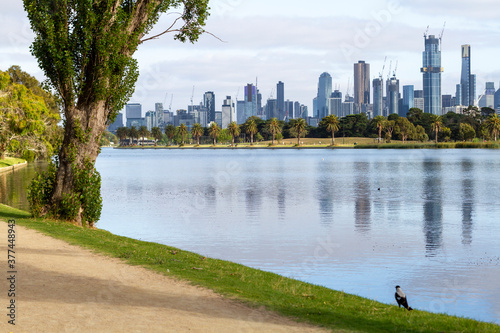 Melbourne city skyline photo