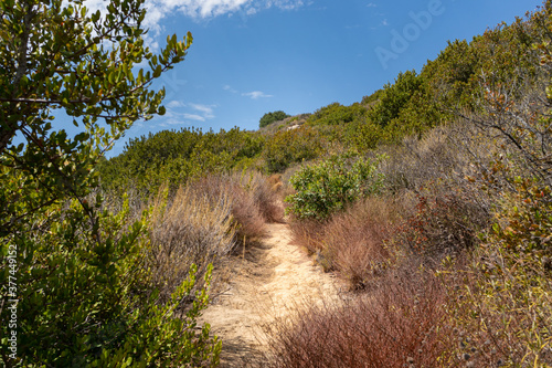 Yucca Trail in Gaviota State Park, California photo