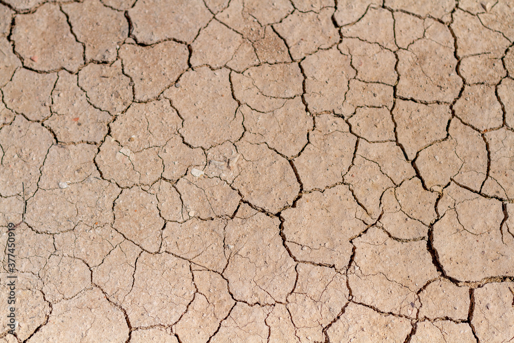 Dry and cracked mud. Dry and cracked mud.