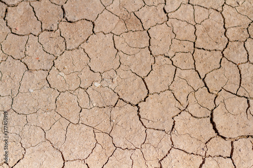 Dry and cracked mud.