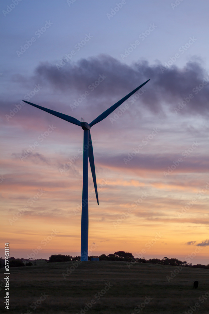 Wind turbines at sunset, Australia Wind turbines at sunset, Australia