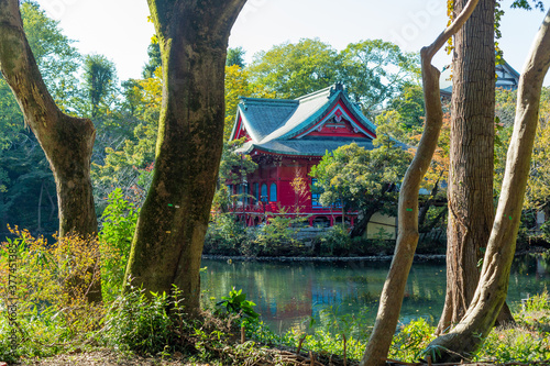 shrine beyond the lake in inokashira park, tokyo, japan photo