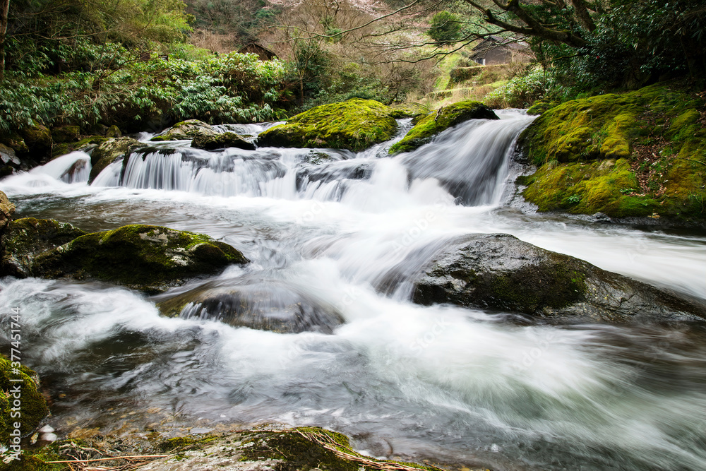 Fototapeta premium 美しい水の流れ（竜頭八重滝県立自然公園・島根県）