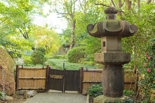 small wooden traditional gate and stone lantern in japanese  garden in tokyo, japan © Yuichi Mori