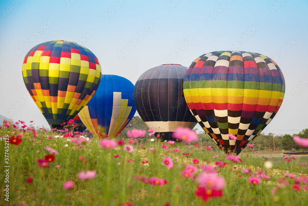 Naklejka premium Singha Park Balloon Fiesta