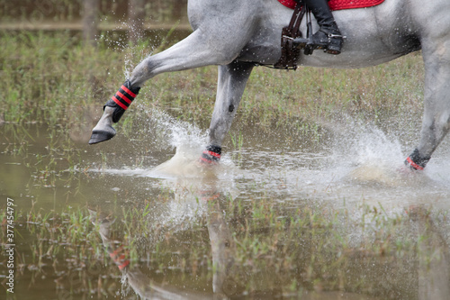 Equestrian Eventing Carolina Horse Park NC State Equine Team