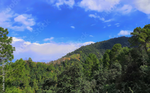scenery of saroa in himachal pradesh India