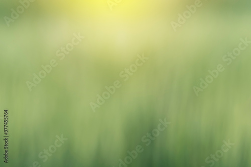 green blur background with light