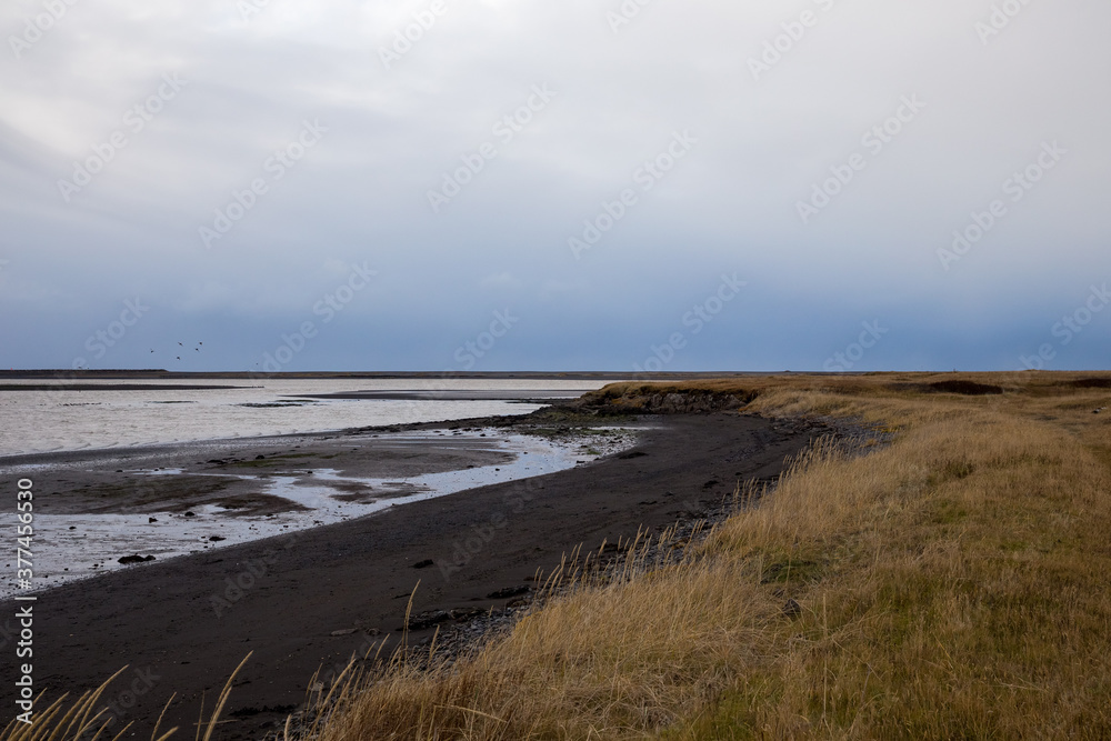 Desolate black sand beach in Iceland