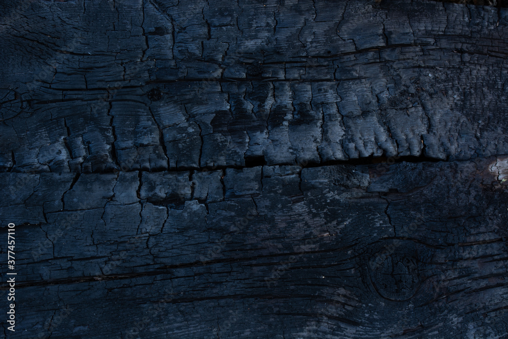 the texture of the old burned charred boards the texture of the old burned charred boards