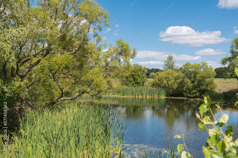 Landscape photos taken in the vicinity of the village of Tarkhany, Penza region