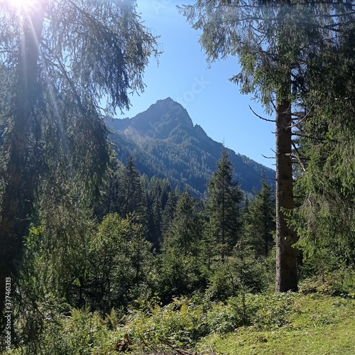 mount hood state