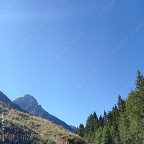 landscape with blue sky