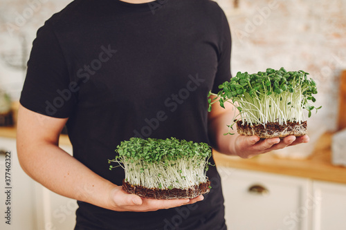 Microgreen corundum coriander sprouts in male hands. Raw sprouts, microgreens, healthy eating concept.