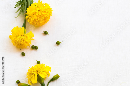 yellow flowers marigold local flora of asia arrangement flat lay postcard style on background white wooden