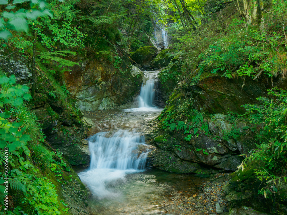 Waterfalls in the forest on mountain (Tochigi, Japan)