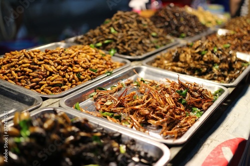 Fried food insects © วอน จังมึง
