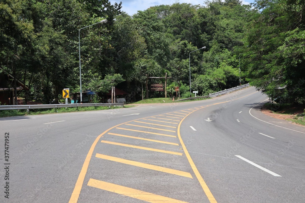 Fototapeta premium road in the park