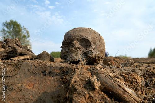 Human remains at an archaeological site of a World War II mass grave