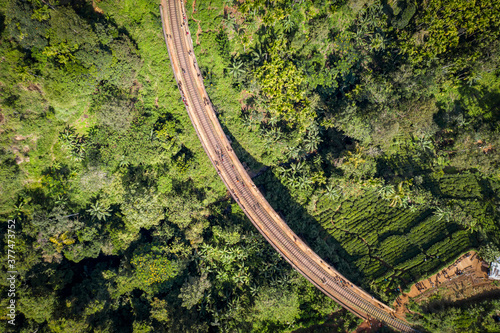 Aerial view of the railway over the famous Nine Arch Bridge built in 1921 in the jungle on the island of Sri Lanka